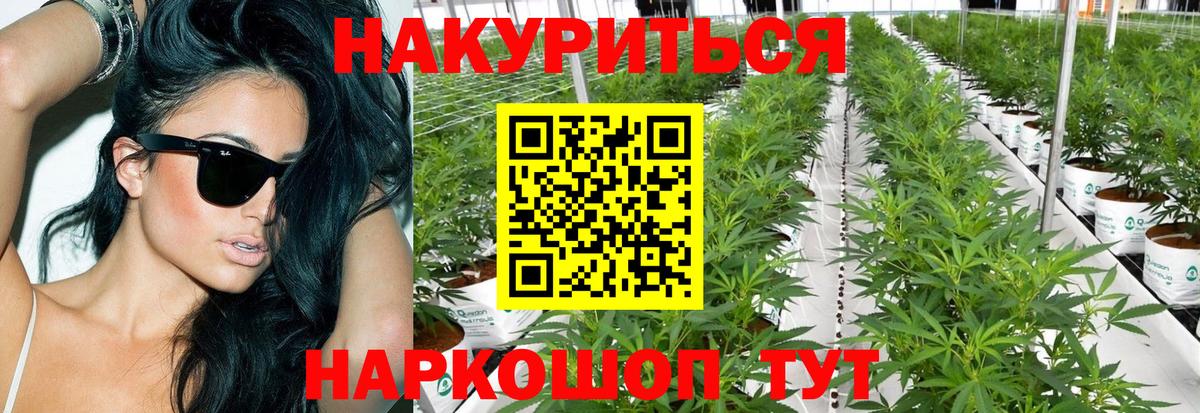 Конопля THC 21%  Каннабис Bruce Banner  Бузулук  Вход с VPN  Марихуана OG Kush 